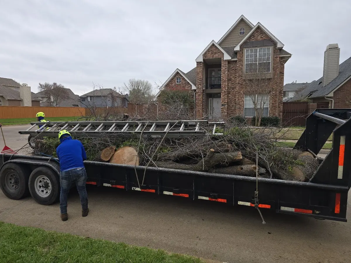 Expert Tree Fertilization with proper safety equipment in Mountain Grove